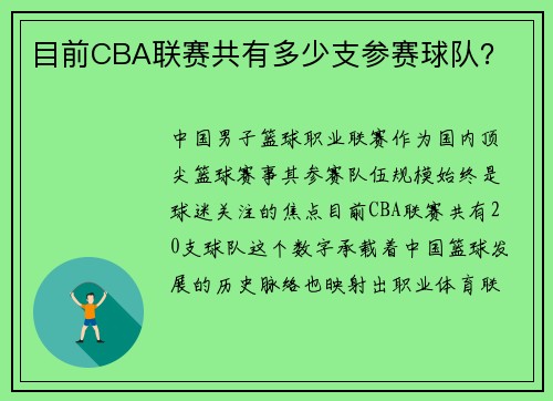 目前CBA联赛共有多少支参赛球队？